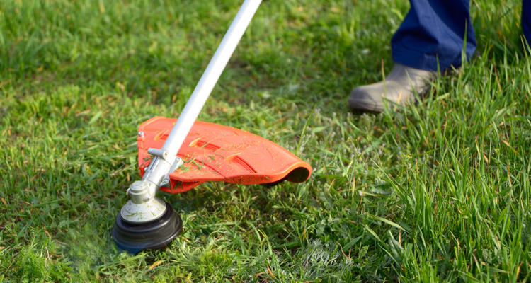 String trimmer products
