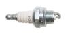 268-5598 - Champion Spark Plug - RCJ6Y